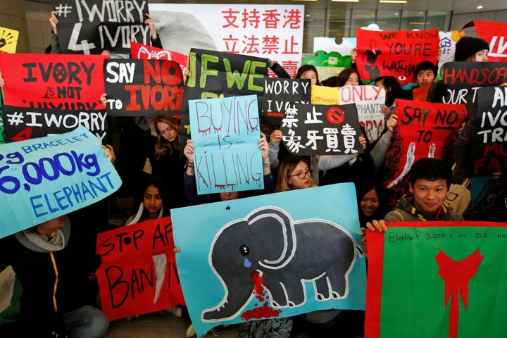 Hong Kong's Legislative Council voted almost unanimously to ban the ivory trade by 2021.