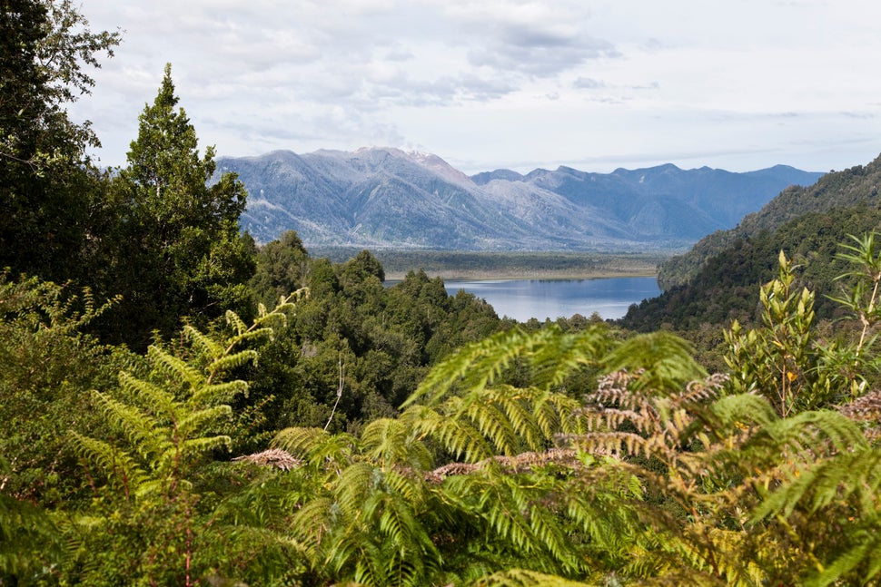Parque Pumalín, Chile.