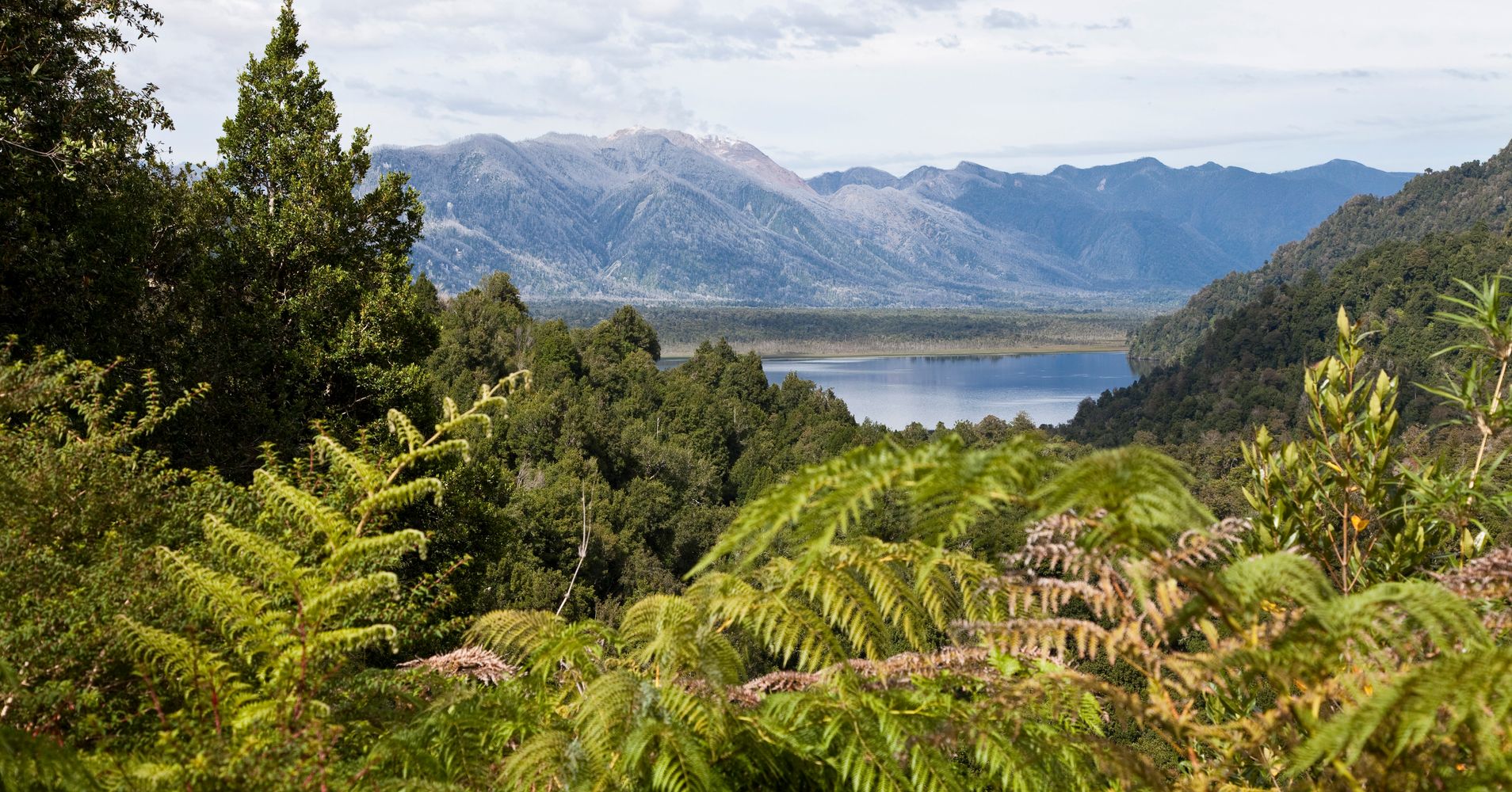 Chile Establishes 10 Million Acres Of National Parks In Gigantic Move