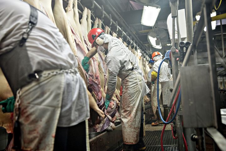 Employees remove internal organs from pigs at a Smithfield Foods Inc. pork processing facility in Milan, Missouri on April 12, 2017. The USDA proposed a rule this month that would allow hog plants to eliminate line speed maximums and give over more inspection responsibilities to plant employees.