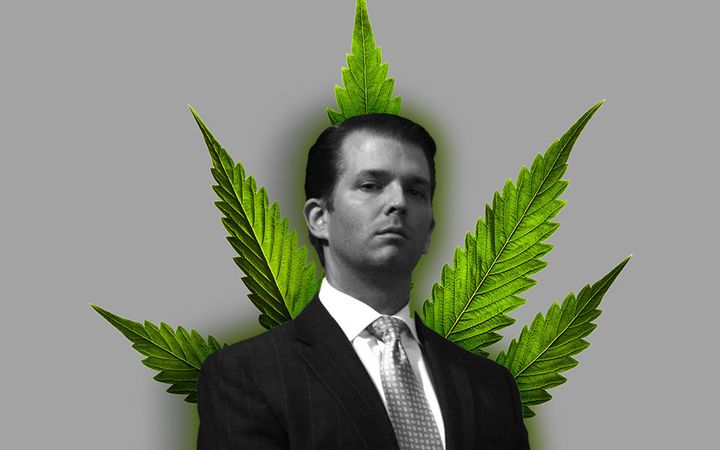 What appears to be a typo on Donald Trump Jr.'s Twitter account is creating excitement among marijuana enthusiasts.