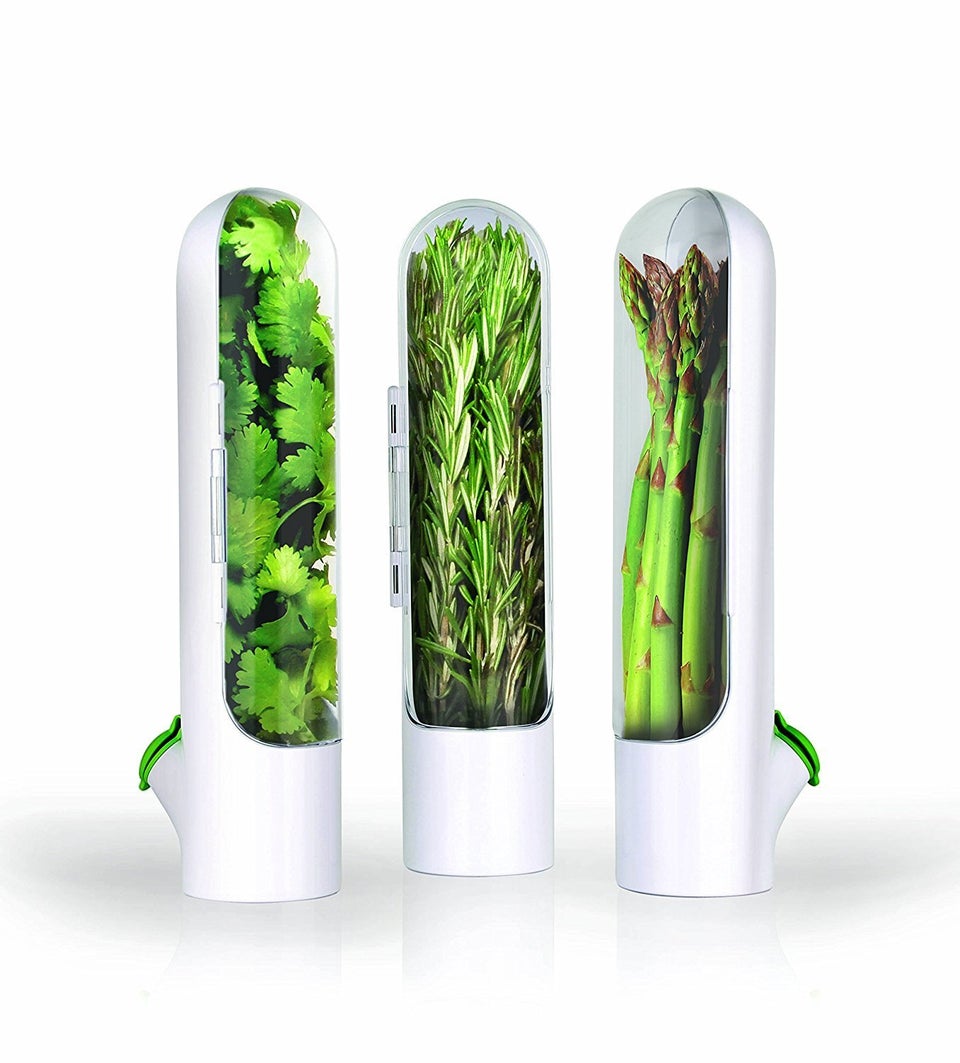 Keep Your Veggies Fresher for Longer with Veggie Saver! - Good & Fugly