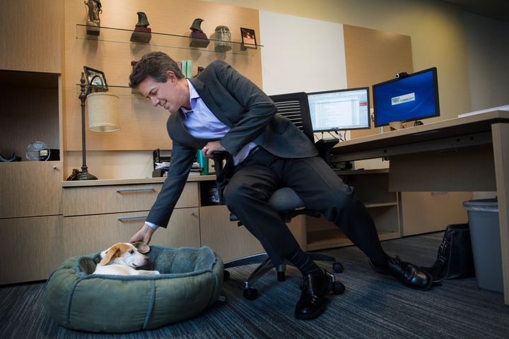 Wayne Pacelle and his dog Lily at his Human Society of the United States office in Washington, D.C., in 2016.