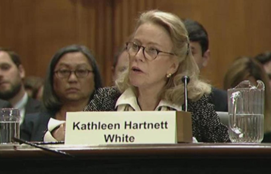 Kathleen Hartnett-White testified before the Senate Environment and Public Works Committee in November. 