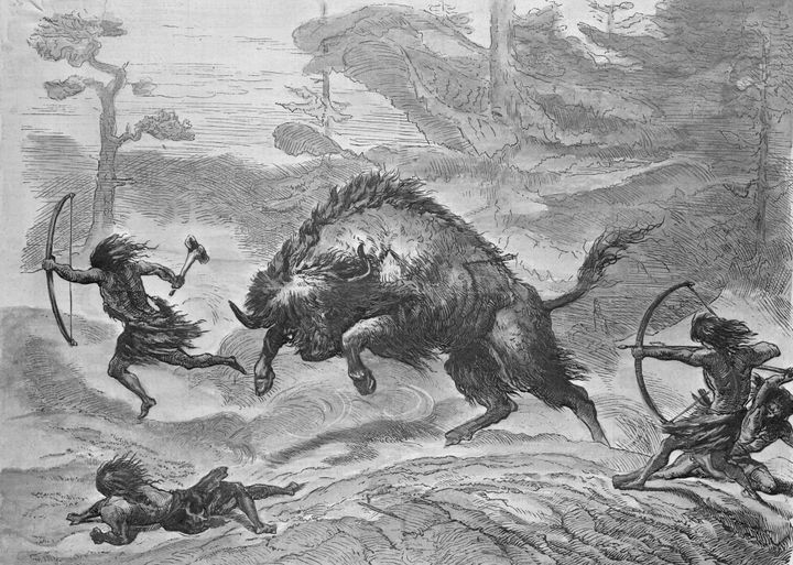 An engraving of prehistoric lake dwellers hunting the aurochs 