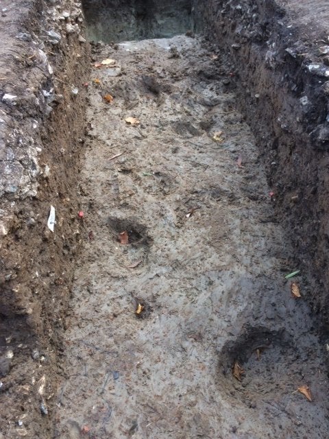 Hoofprints of aurochs found at Blick Mead excavation