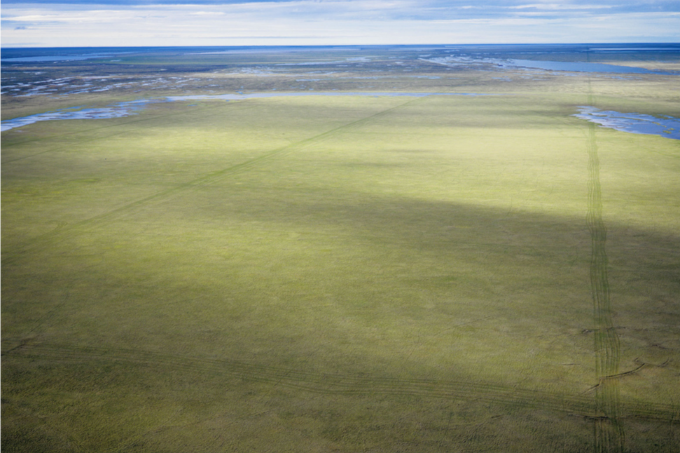 This 2006 photo shows seismic tracks on the tundra near Teshekpuk Lake, Alaska.