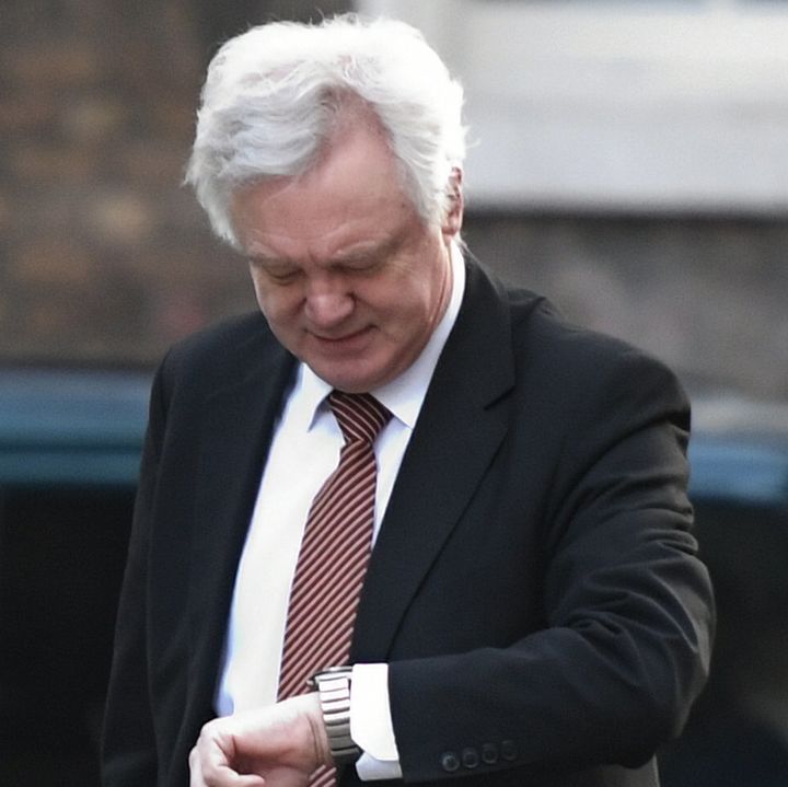 David Davis has identified 313 workstreams for Whitehall staff but Brexit day is 14 months away 