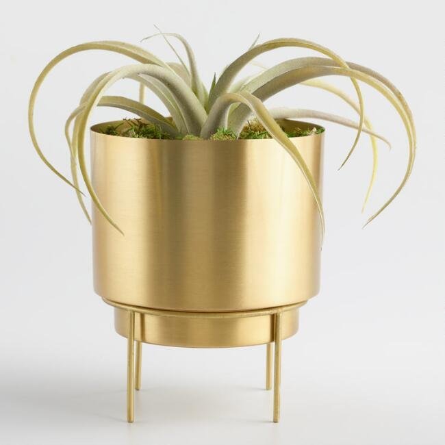 Brass Planter With Stand from <a href="https://www.worldmarket.com/product/brass-planter-with-stand.do?sortby=ourPicks&fr