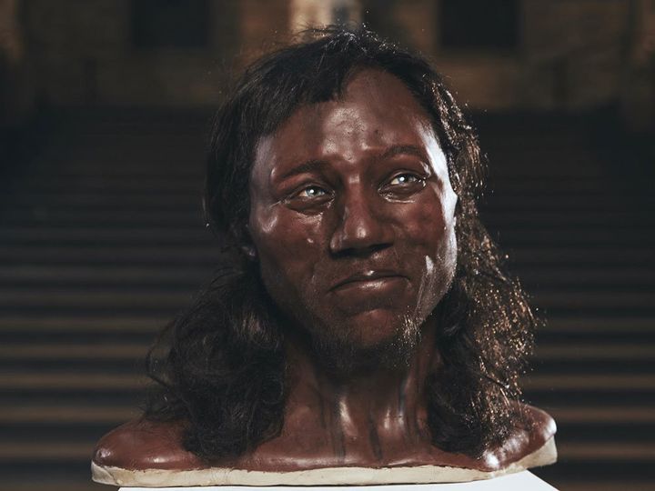 Facial reconstruction of Cheddar Man, who had blue eyes, dark skin and dark, curly hair.