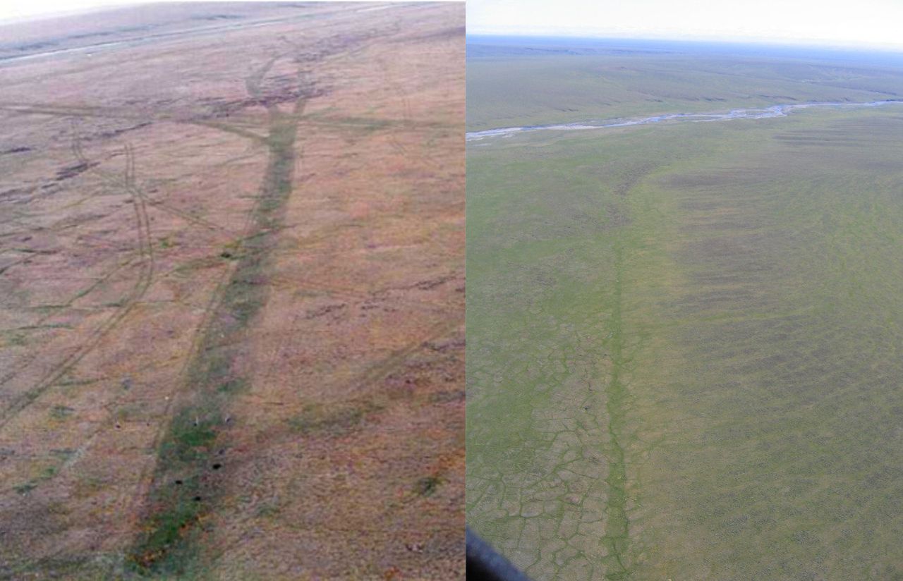 Aerial images of a seismic trail made in the winter of 1985 in the 1002 area of the Arctic National Wildlife Refuge, near Simpson Cove. The image on the left was taken in July 1985. The image on the right was taken in July 2007 — 22 years after the disturbance.
