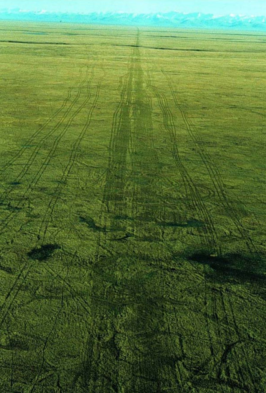 An aerial photograph of seismic lines made in ANWR in the winter of 1985 and photographed in the summer of 1985.
