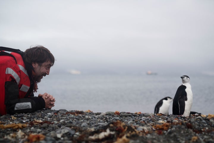 Bardem horns in on Harbour's action and gets to know some chinstrap penguins.