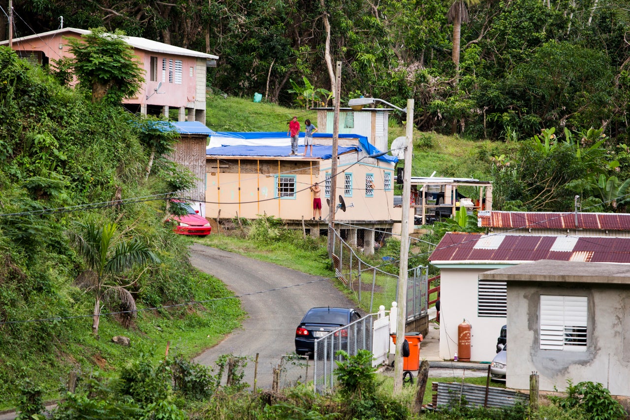 A house on the outskirts of Rincón covered in blue tarps, a temporary solution for roofs battered by Hurricane Maria.