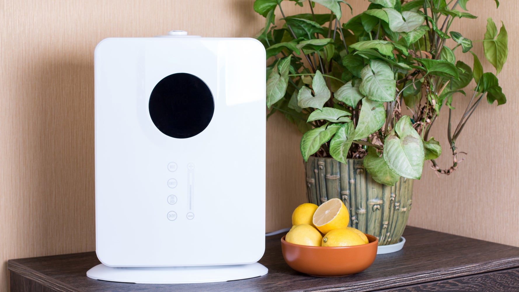 9 Of The Best Air Purifiers, According To Enthusiastic Amazon Reviewers