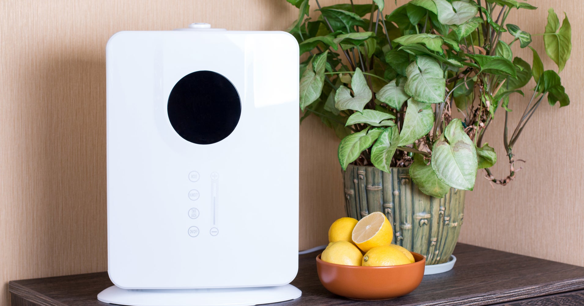 9 Of The Best Air Purifiers, According To Enthusiastic Amazon Reviewers