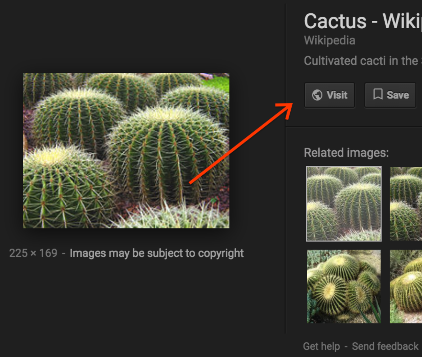 Google Made A Small Change To Image Search, But It's A Big Deal