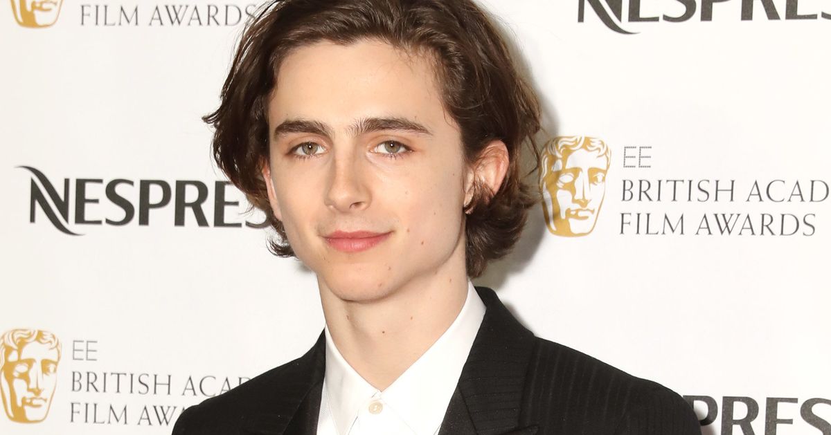 Timothée Chalamet on French-Guy Hair, Filming With Scorsese, and