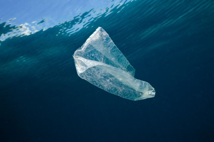 Plastic bag adrift in ocean. 