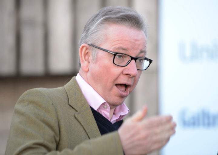 Environment secretary Michael Gove