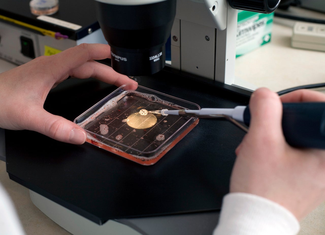 A laboratory in Sioux Center, Iowa sorts eggs, which is part of the in vitro fertilization process. An IVF cycle can cost between $10,000 and $15,000. The process for testing the embryos ranges from $5,000 to $6,000, per cycle.