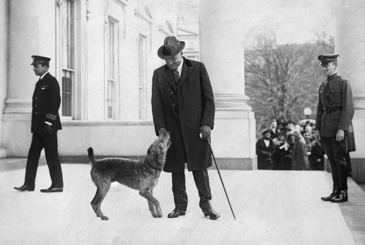 Laddie Boy greets Harding at the White House