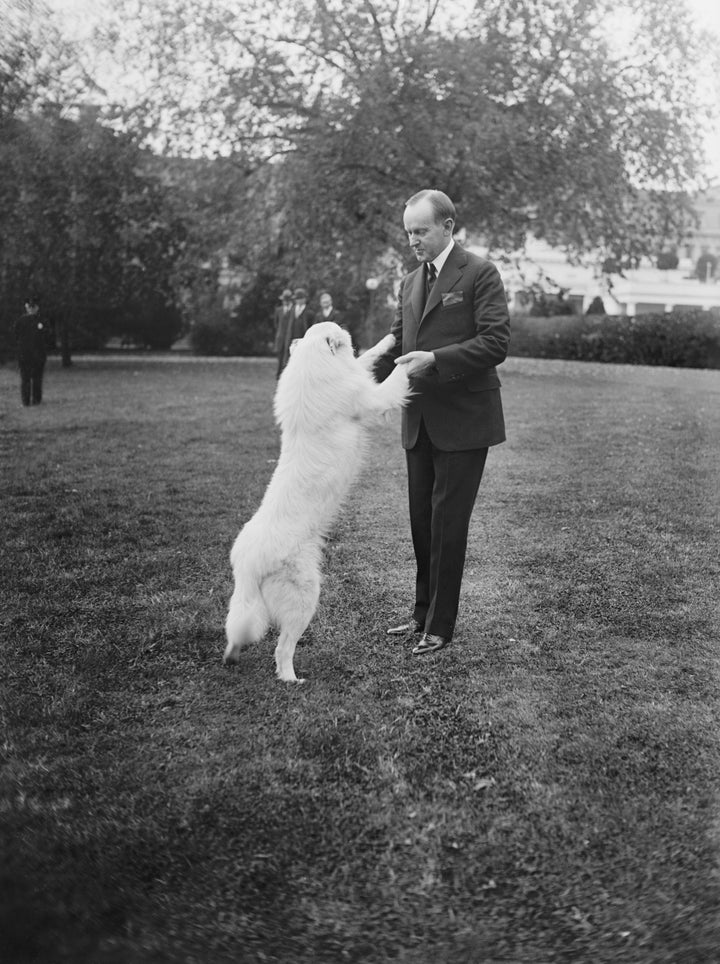 Coolidge with his dog, Rob Roy, in 1924. 