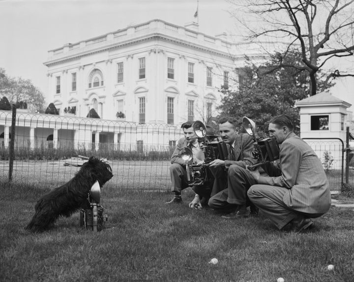 Fala on his birthday in 1942. 