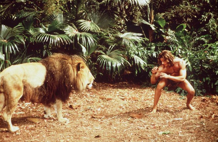 Brendan Fraser in the movie "George of the Jungle."