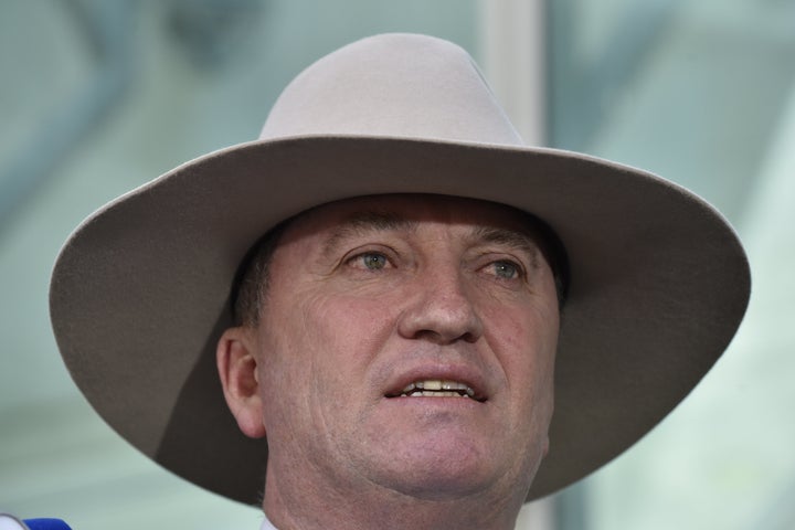 Barnaby Joyce speaks to the press in Canberra on Feb. 16.