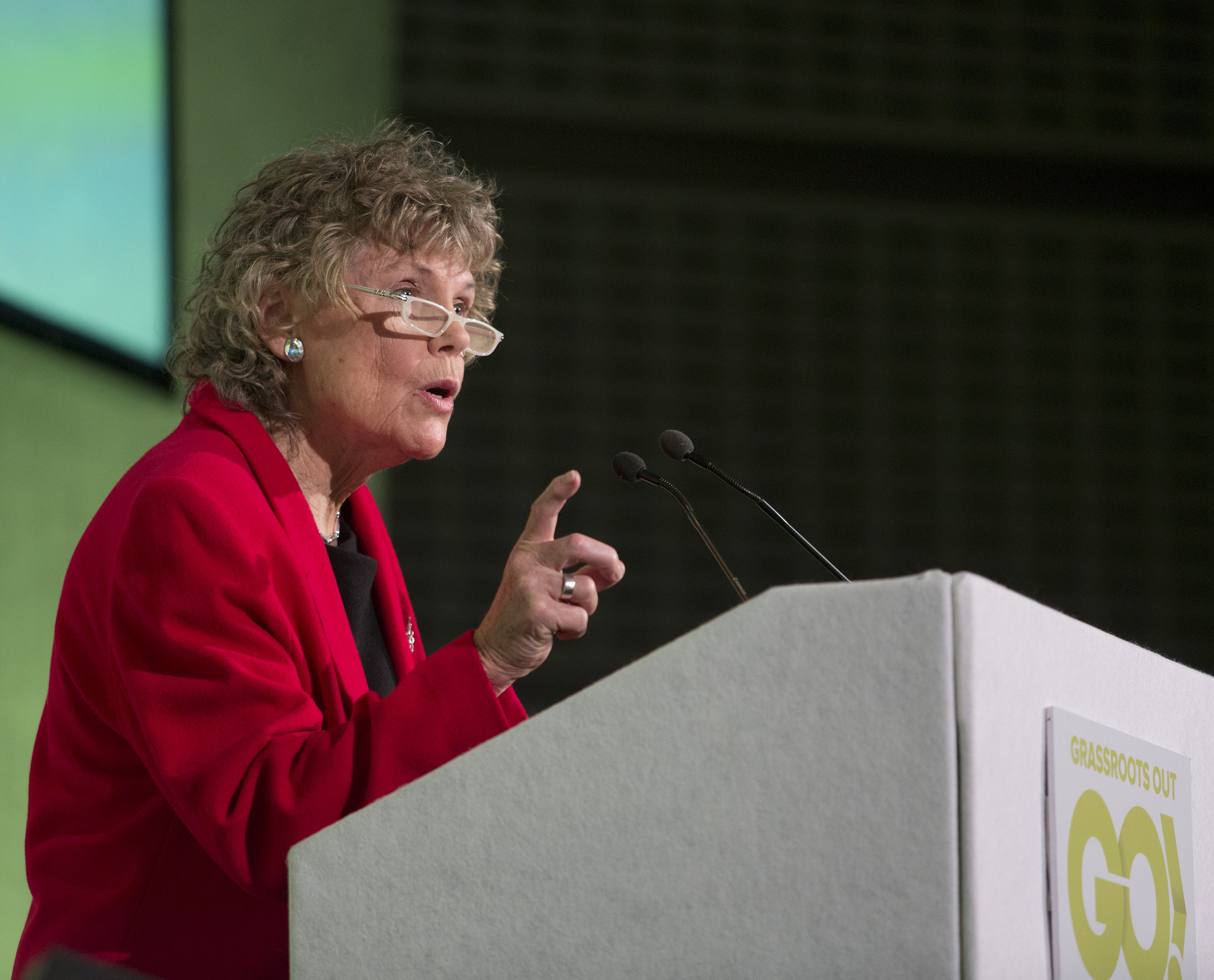 <strong>Kate Hoey has called for a "cold, rational look" at the Belfast agreement</strong>