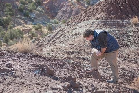 Paleontologist Rob Gay checks out a fossil site at Bears Ears.
