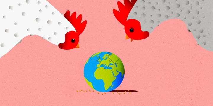 Humans now eat so much chicken, the birds' bones serve as key markers in the fossil record of the Anthropocene. But that only scratches the surface of how Big Meat, including Tyson Foods, is affecting the planet.