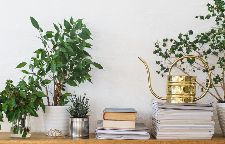 10 Creative Hacks To Add Plants To Your Small Space Huffpost Life