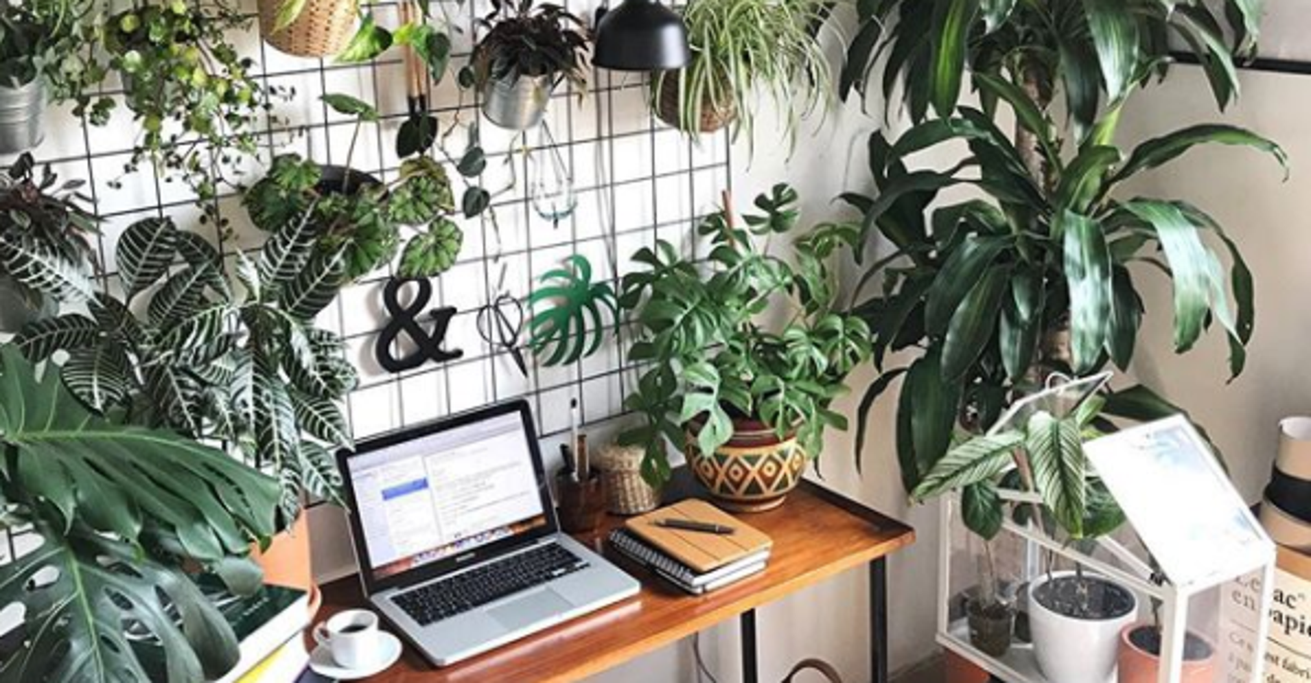 10 Creative Hacks To Add Plants To Your Small Space HuffPost