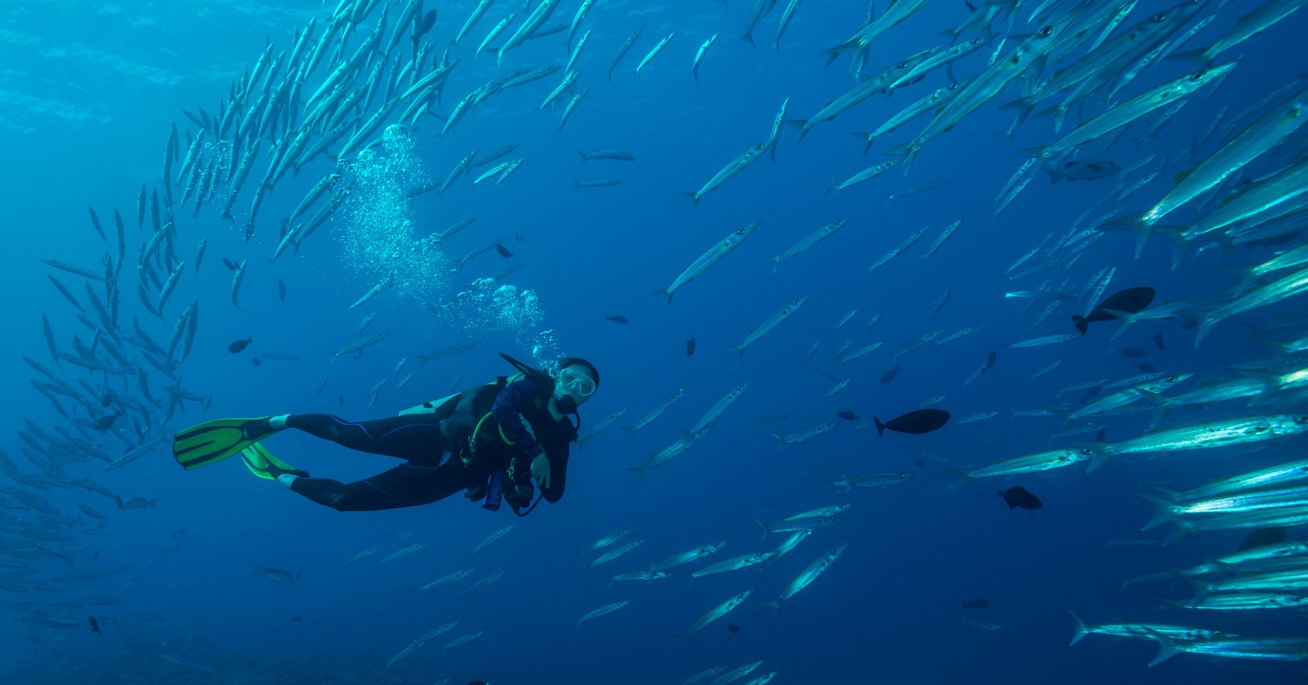 To Help Save Our Oceans Include Women In The Conversation Huffpost 8365