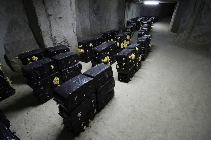 Καλλιέργεια μανιταριών σε πρώην ορυχείο ασβεστίτη στη Γαλλία 