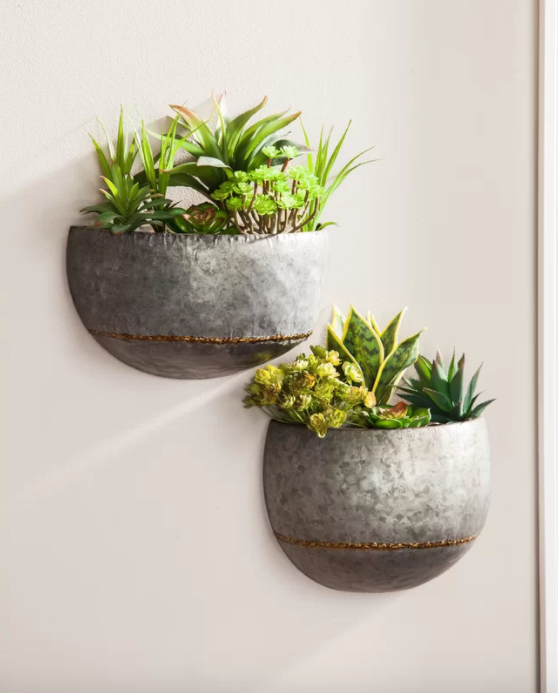 21 Best Wall-Mounted Planters for Indoors and Outdoors We Love