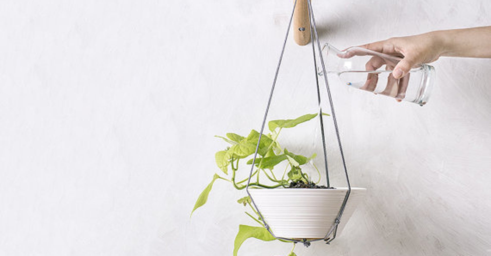 20 Indoor Wall Planters To Take Your Houseplants To New 