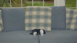 37 fotos de niños terriblemente malos