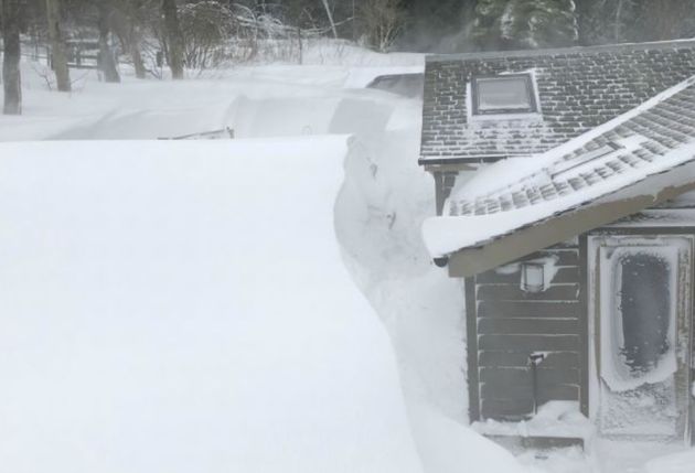 An elderly couple had to be rescued from their home in southern Scotland