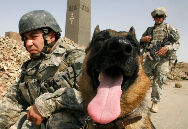 U.S. soldiers with the 3rd Heavy Brigade Combat Team 3-1 CAV take a break with their explosives sniffer dog during in October 2007.