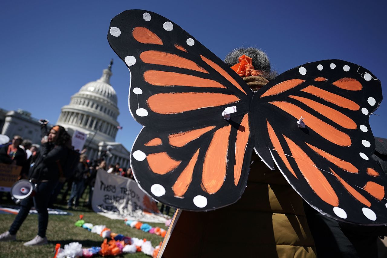 An immigration activist wears butterfly wings during a protest Monday on Capitol Hill.