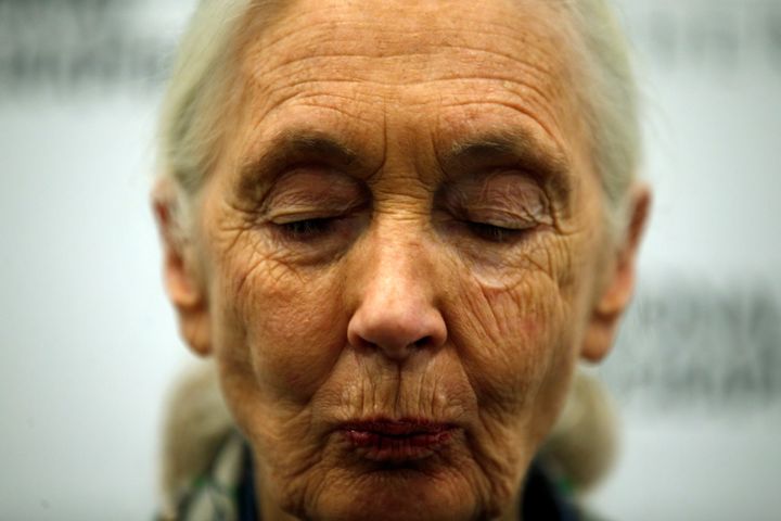 Jane Goodall turns 84 next month, but she has no plans to slow down.
