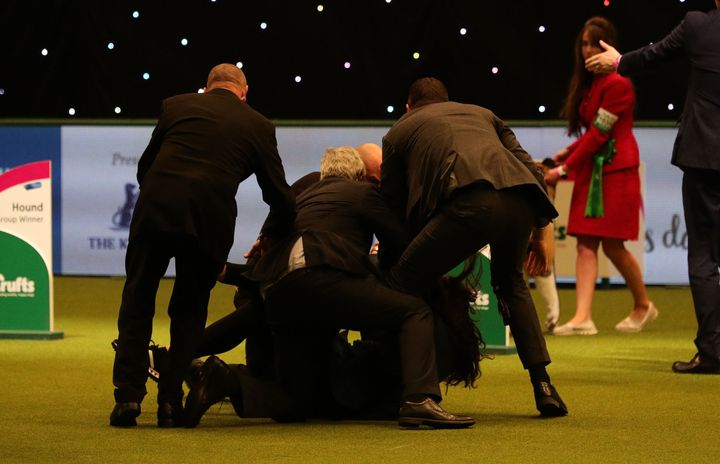 An intruder is wrestled to the ground after Tease the whippet was named Supreme Champion.