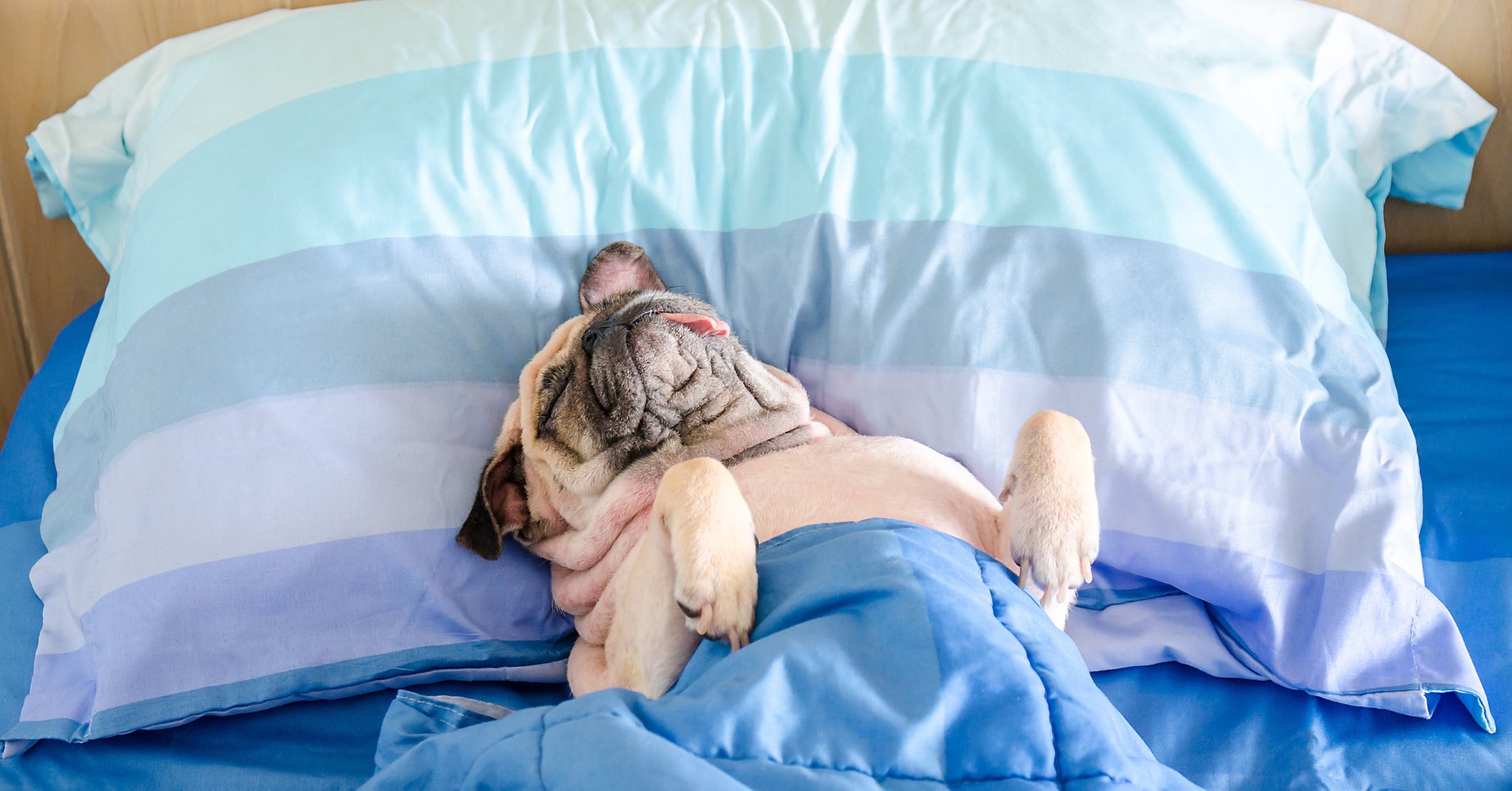 7 Very Important Reasons To Take A Nap Right Now HuffPost