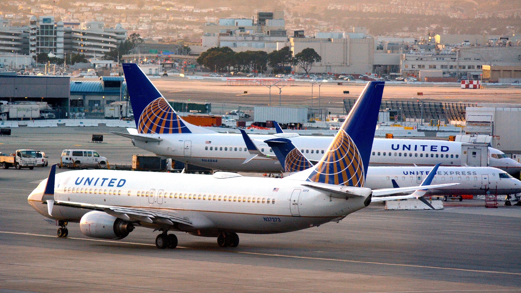 Dog Dies On Flight After Passenger Forced To Put Carrier In Overhead