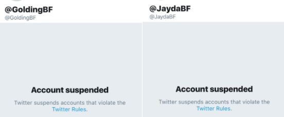 Screengrabs showing Golding and Fransen's Twitter accounts suspended