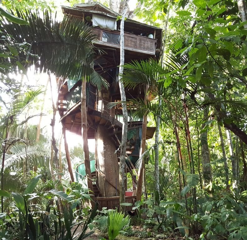 Breathtaking Tree House Vacation Rentals You Can Actually Afford