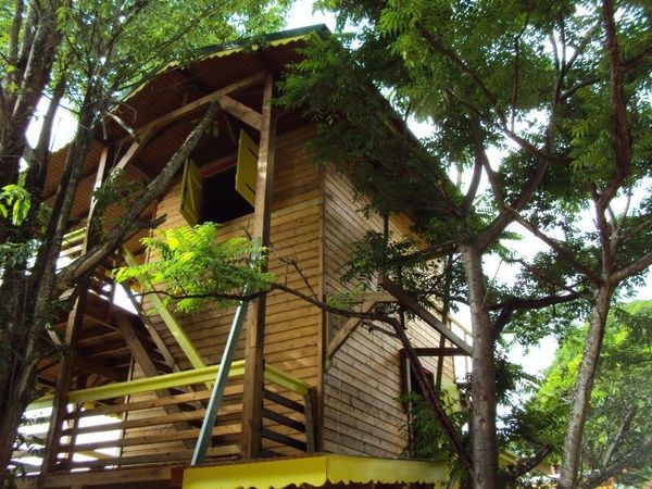 Breathtaking Tree House Vacation Rentals You Can Actually Afford Huffpost